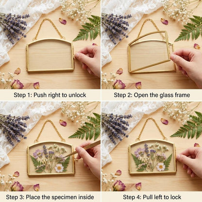 FOCHIER 4 Pcs Double Glass Frame for Pressed Flowers Floating Hanging Photo Frame 3x2 in Brass Clear Pressed Flower Decor with Chain for Display Gallery Artwork, Horizontal Vertical, Gold