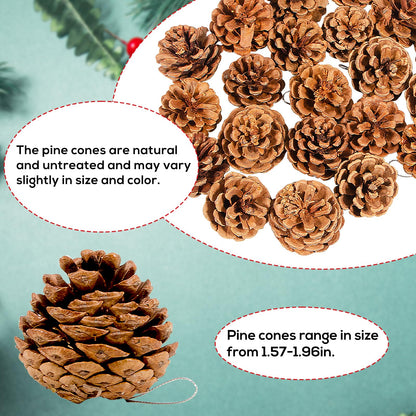 24PCS Christmas Natural Pine Cones,Rustic Pinecones with String for Crafts & Decorating Winter Xmax Holidays Vase and Table Bowl Fillers(Dia. 1.57-1.96 Inches)