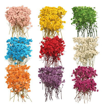QinXunTa 9 Pack Dried Flowers, Natural Pressed Flowers Kit for DIY Crafts, Scrapbook, Card Making,9 Colors