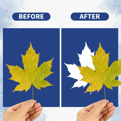Cyanotype Kit with 50 Sheets Sun Print Paper & Acrylic Panel, Solar Printing Art Supplies for Nature Crafts, DIY Projects , Photography, Ideal for Arts Crafts, Gift