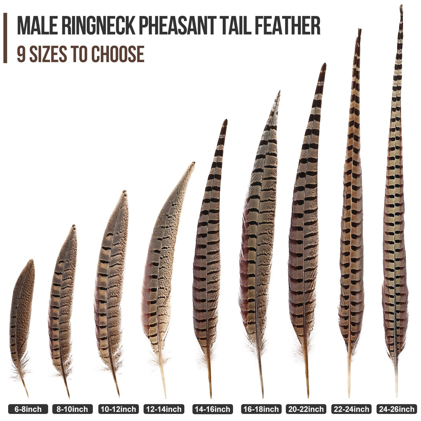 FeelfunFeather 5pcs Pheasant Feather 16-18inch 40-45cm Natural Male Ringneck Tails Feathers for DIY Crafts Home Wedding Party Carnival Decoration