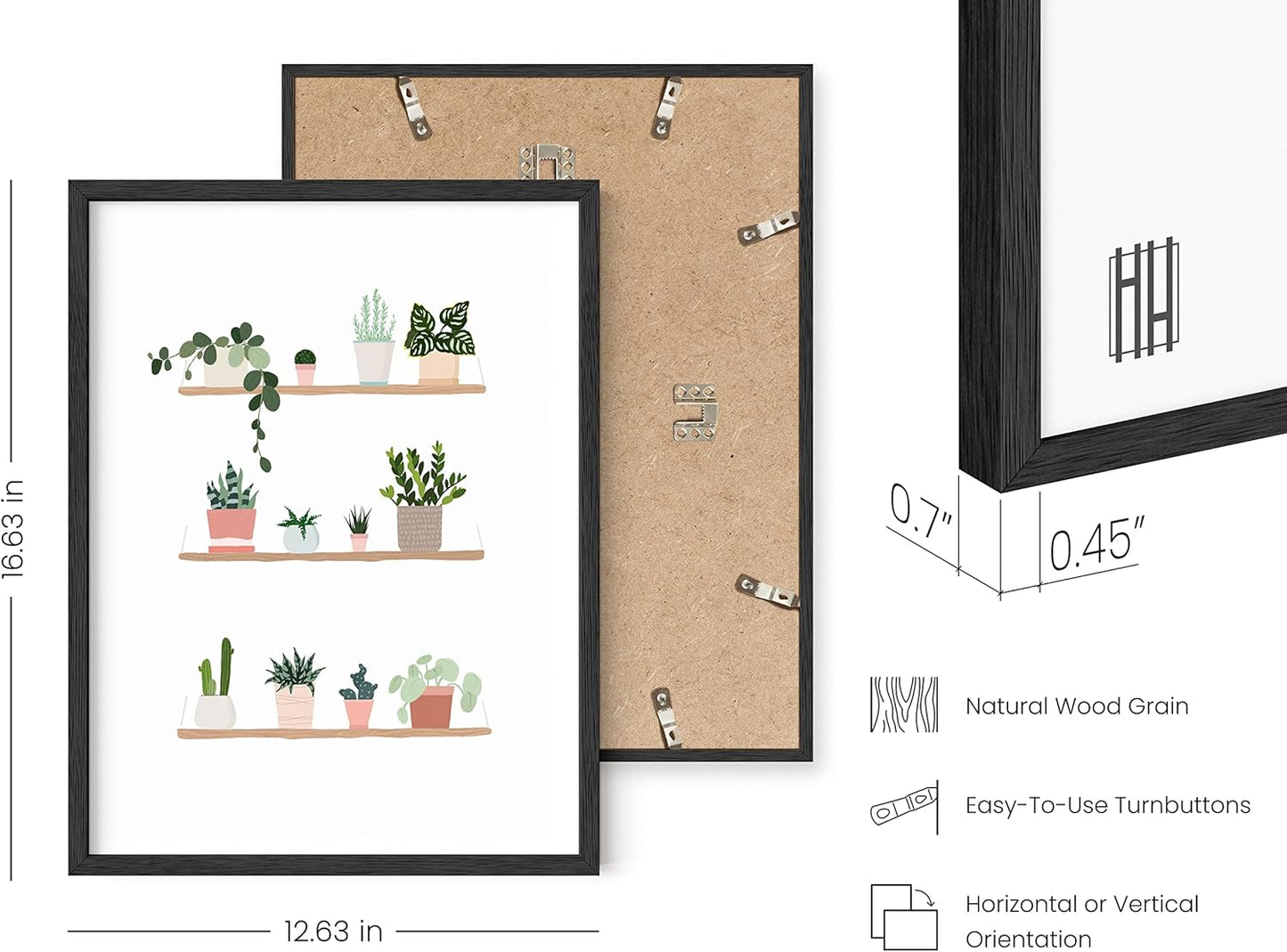 HAUS AND HUES Succulent Art Plant Pictures Wall Art & Botanical Prints | Cactus Wall Art Poster UNFRAMED 12"x16"
