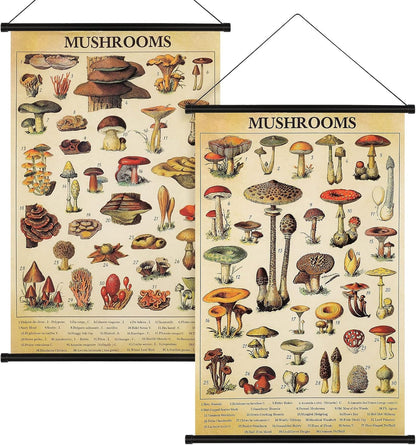 2 15.7 23.6 Inch(Vintage Geosar Pcs Vintage Mushroom Flower Butterfly Tree Poster Fungus Rustic Wall Hanging