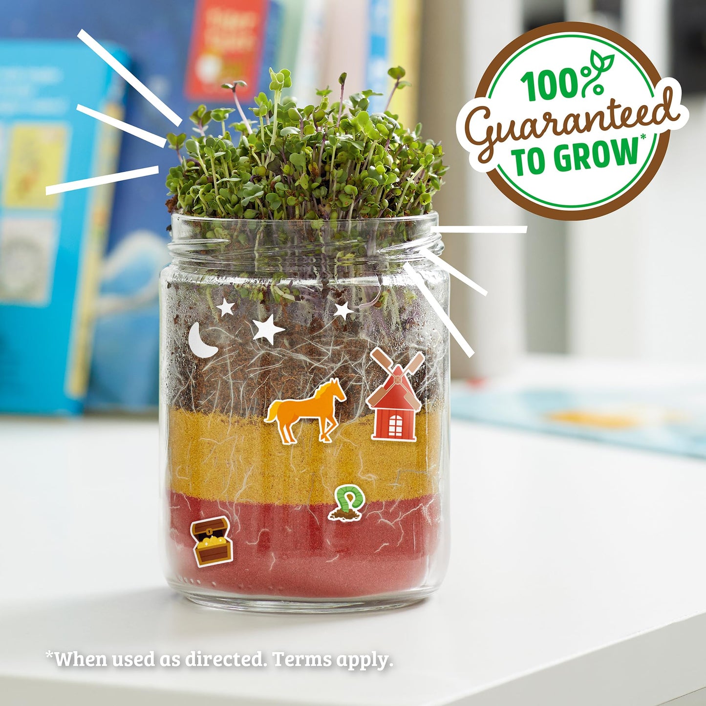 Back to the Roots Terrarium Grow Kit - Easy-to-Use DIY Set for All Ages Small