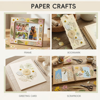 LUXEEASE 80 Pcs Dried Flowers for Crafts, Real Natural Dried Pressed Flowers in Soft Yellow, White & Pink Tones for Resin, DIY Art, Jewelry, Candle & Soap Making – Tweezers Included