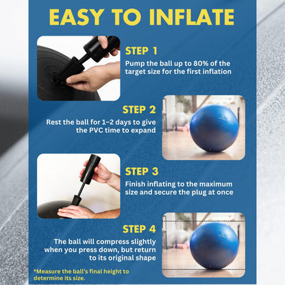 ProBody Pilates Exercise Ball - Multiple Sizes Gym Grade Balance Ball for Fitness, Yoga, Workout, Pregnancy & Physical Therapy