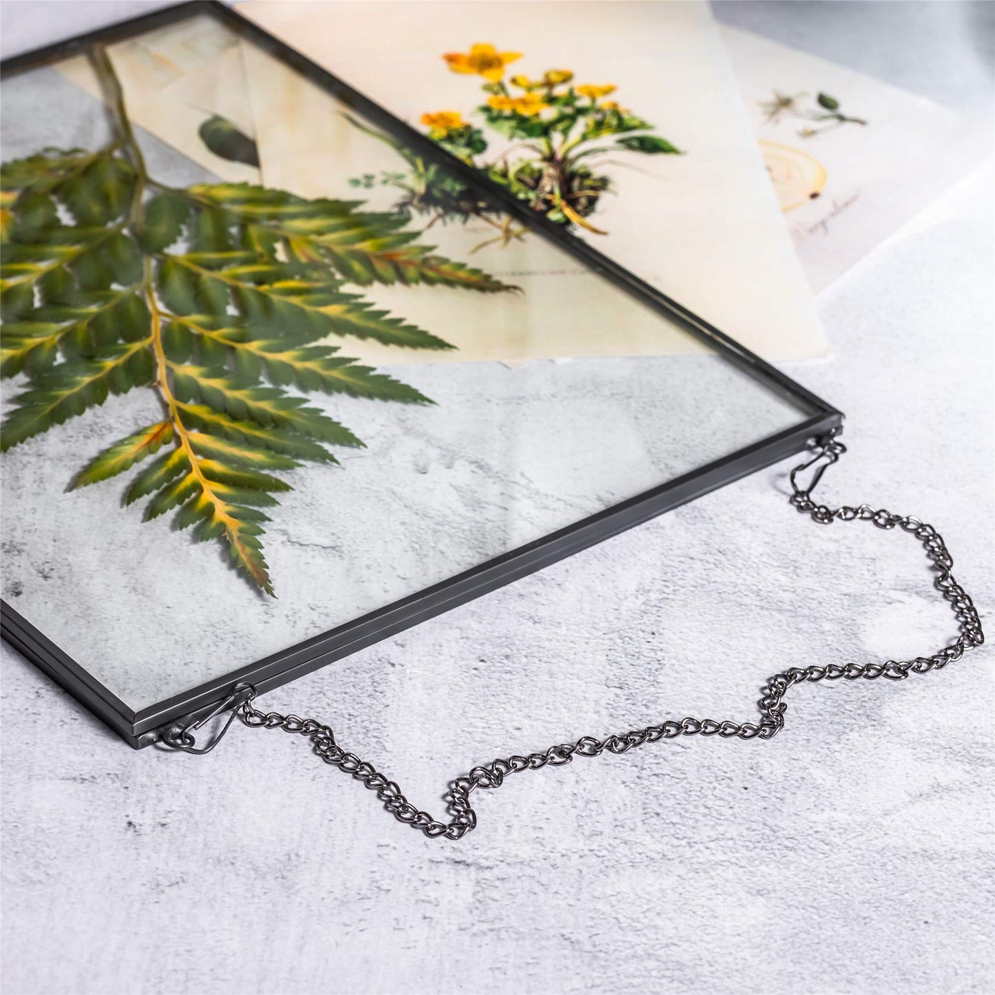 NCYP Hanging 8" x10" Black Glass Floating Frame for Pressed Dried Flower, Certificate, Photo, Picture - Modern Home Indoor Wall Vertical Decor, Plant Specimen Clip (Glass Frame Only)