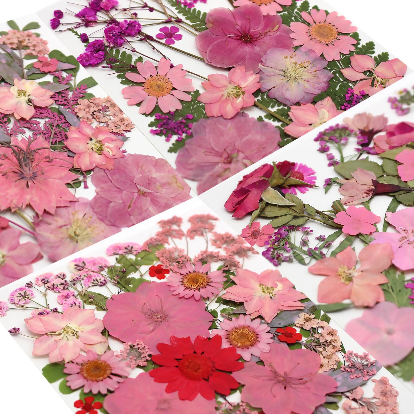 150Pcs Dried Pressed Flowers Leaves kit for Resin Molds,Pink Real Natural Dry Pressed Flowers for Nails Art Phone Cases Scrapbook Supplies Card Soap Candle Jewelry Making