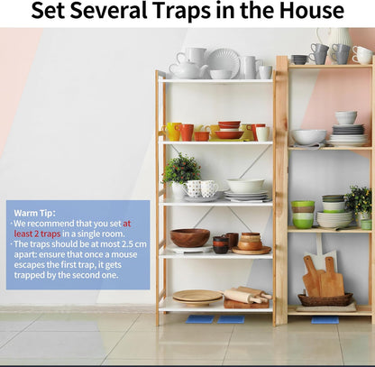 LULUCATCH Mouse & Insect Traps - 12 Pack of Heavy-Duty, Non-Toxic Sticky Traps for Home Use