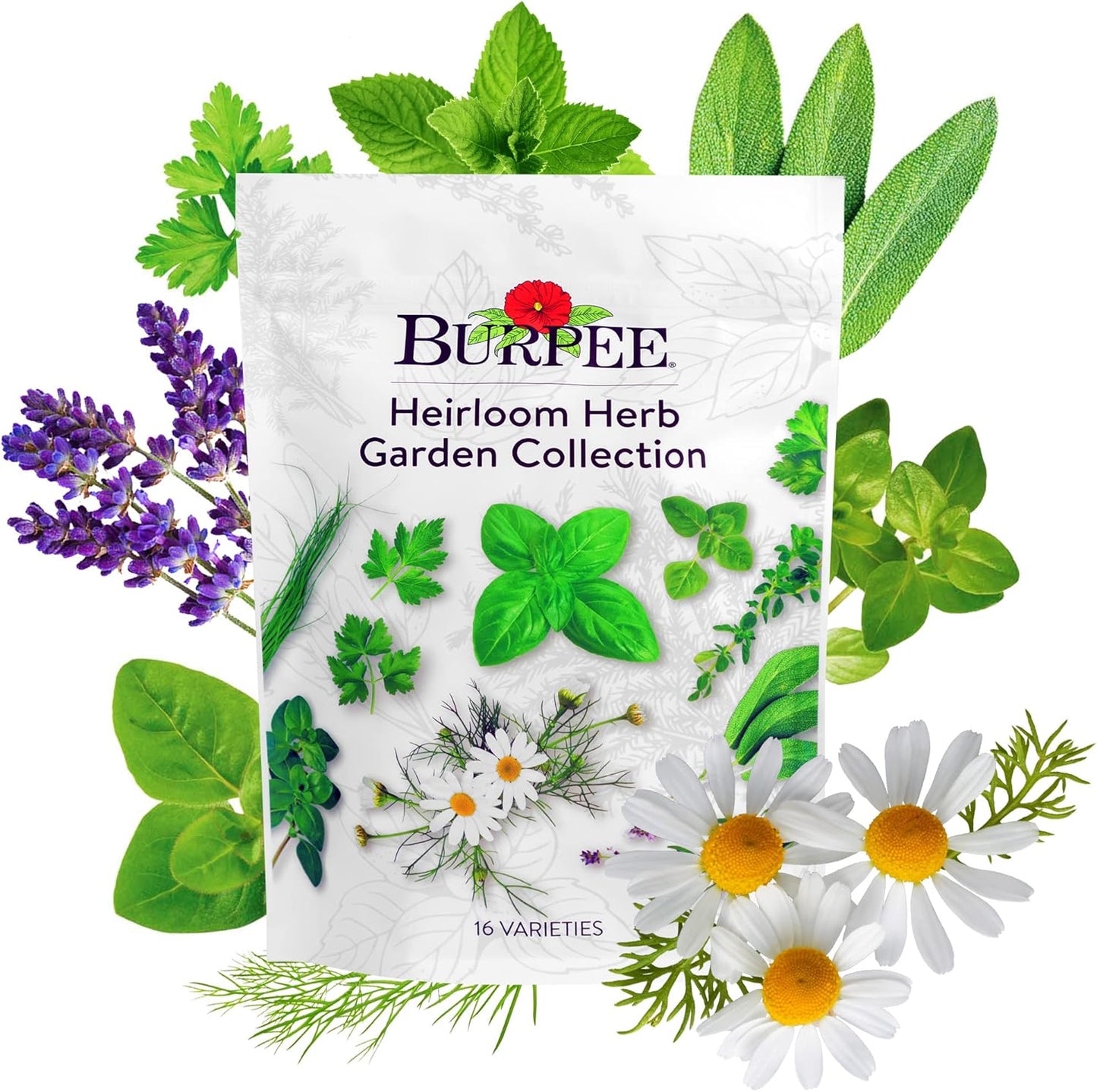 Pack, 16 15,000+ Burpee Heirloom Herb Seeds Variety Non-GMO, Herbs - Seeds with Basil, Chives, Catnip, Chamomile
