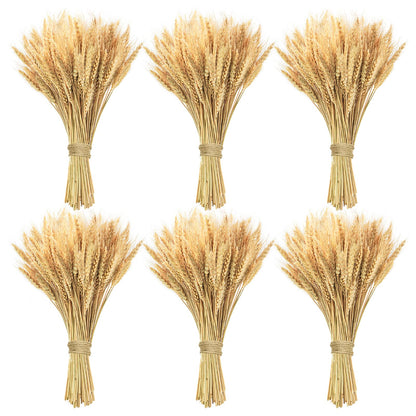 Phliofd 600 Stems Natural Dried Wheat Stalks, 18 inches Dried Wheat Grass Bundle Wheat Sheaves Wreath for Flowers Arrangement Wedding Table Centerpieces Home Kitchen Office DIY Party Décor