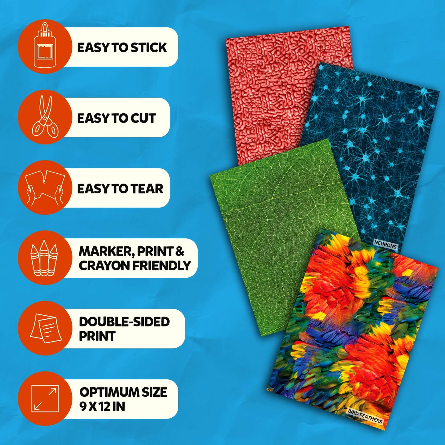 Skillmatics Life Science Construction Paper for Kids - 60 Double-Sided Printed Sheets (9x12), Patterned Craft Paper for Art Projects, Science Activities, DIY Crafts, Scrapbooking & School Supplies
