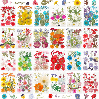 NESCCI 428 Pcs Dried Pressed Flowers for Resin,Real Nature Dried Flowers for Crafts Bulk Dry Flowers Leaves Kit Used for Resin Molds Scrapbooking DIY Art Crafts Candle Soap Making Nails Décor