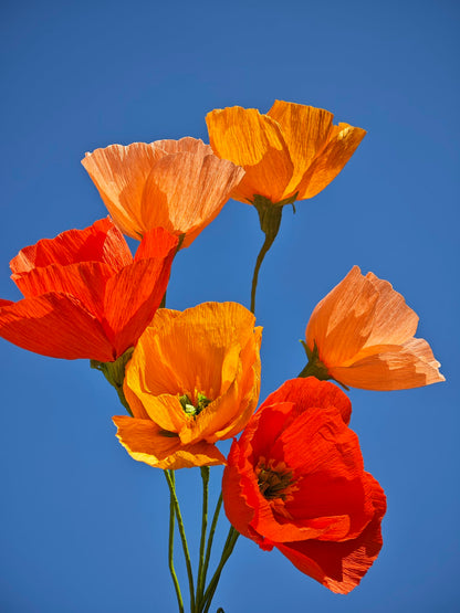 Mybbshower Orange Crepe Paper Poppy Flower DIY Making Kit Home Decoration Table Decor Pack of 24 pcs