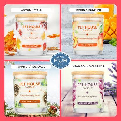 Pet House Candles, Long Burning Scented Candles for Home, Plant-Based, 60 Hour Burn Time - Lilac Garden and Fresh Cut Roses, 9 oz, 2 Pack
