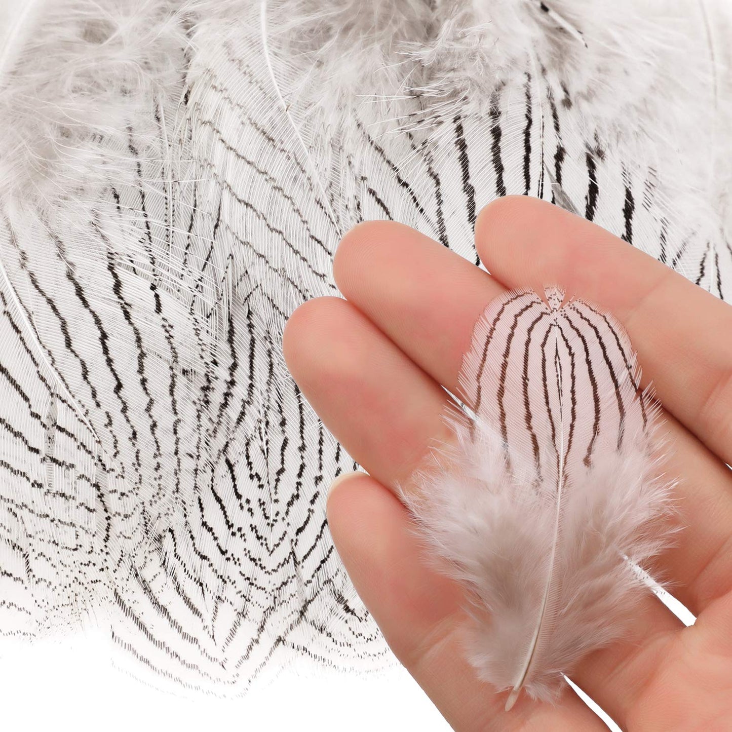 MWOOT 6 Styles Assorted Crafts Feathers, 120Pcs DIY Dreamcatcher Crafts Art Decor Feathers, DIY Earring Wings Carnival Party Mask Activities Project Accessories Small Feather - Mixed Green White Brown