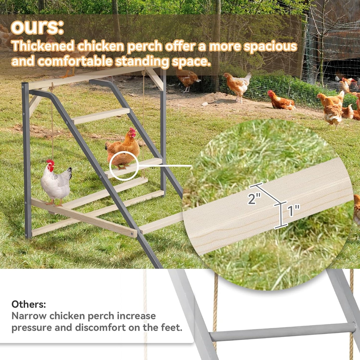 PETSFIT Chicken Perch for Coop-Solid Wood and Rustproof Iron Roosting Bar with Swing - Ideal for Backyard Poultry