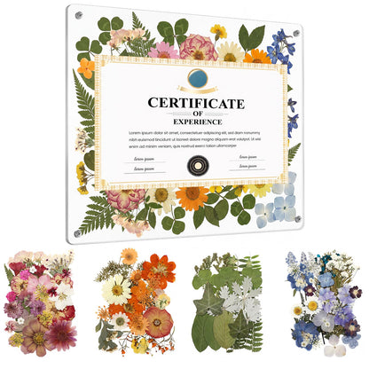Lineshading Pressed Flower Diploma Frame Floating Clear Acrylic Degree Frame Wall Mount Picture Frames with Dried Pressed Flowers for Certificate Degree Painting Artworks DIY Craft, 15.4 x 12.4 Inch