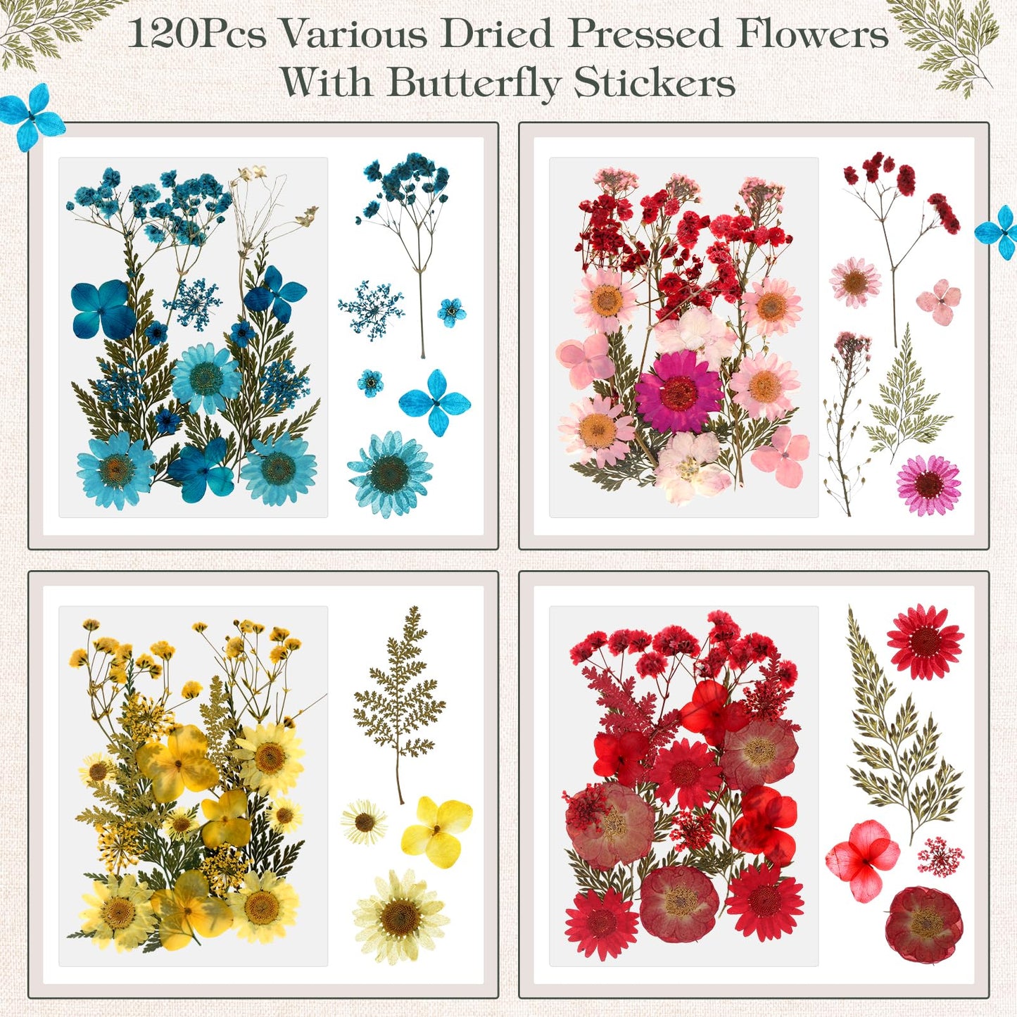 Amyhill 2 Pcs Glass Pressed Flower Frame with Dried Pressed Flowers, Brass Double Glass Photo Frame Includes 72 Pcs Real Dried Flowers, 65 Piece Butterfly Stickers and Tweezer for Handicrafts