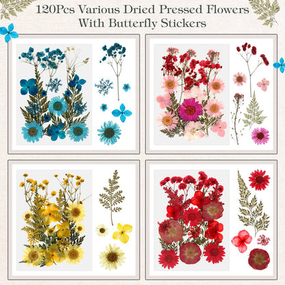 Amyhill 2 Pcs Glass Pressed Flower Frame with Dried Pressed Flowers, Brass Double Glass Photo Frame Includes 72 Pcs Real Dried Flowers, 65 Piece Butterfly Stickers and Tweezer for Handicrafts