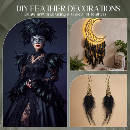 Suncalla 240 Pcs Rooster Feathers 4-6/10-12/12-14 Inches Craft Feathers for DIY Dream Catcher Crafts Sewing Holiday Costume Wedding Party Supplies and Home Decorations(Black)