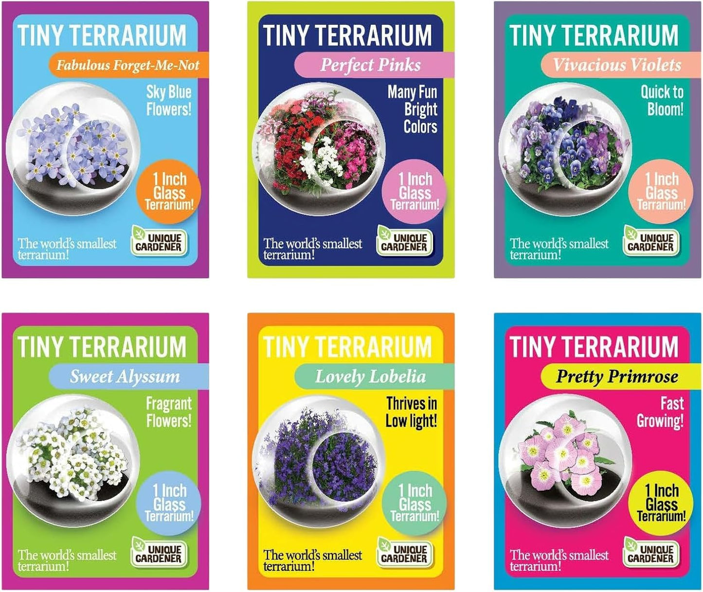 Unique Gardener Tiny Terrarium Plant Seeds 6 Variety Pack, DIY Indoor Succulents and Live Plants for Home or Garden Planting, Assorted Flowering Pack
