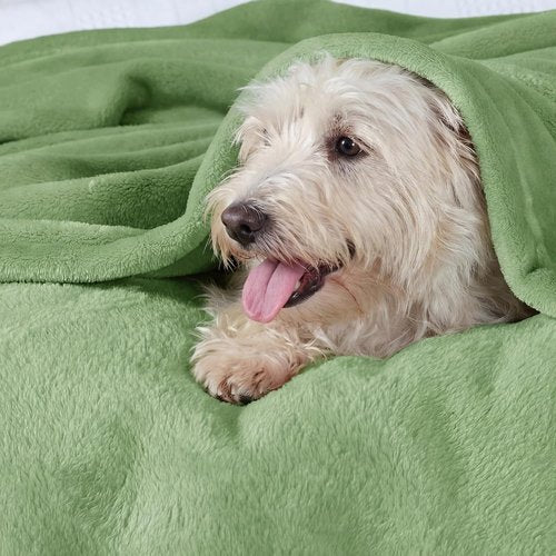 Bedsure GentleSoft Green Fleece Blanket - Luxuriously Soft Lightweight Plush Queen Size, Emerald 90x90 Inches