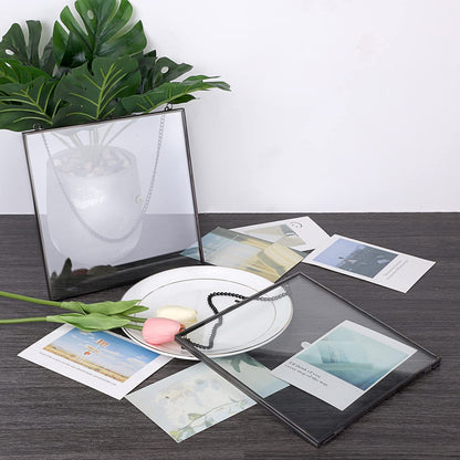 JUXYES 2 Pack Square Wall Hanging Brass Frames for Pressed Flowers, Double Glass Hanging Picture Artwork Display Frame, Black Floating Style Gallery Wall Frame for Picture, Poster, etc