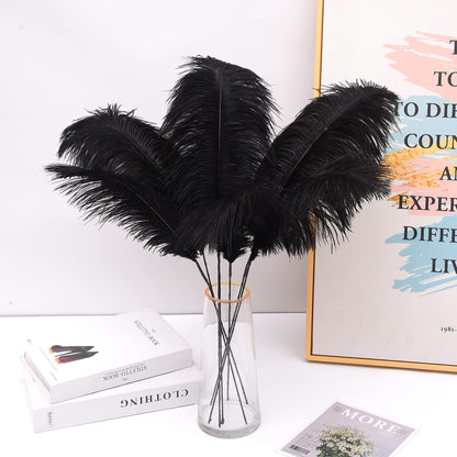 Ballinger 8-12inch 4 Styles 24Pcs Assorted Pheasant Feathers and 12Pcs 24-26inch Black Ostrich Feaathers for Crafting Vase Hat Wedding Autumn Party Decor
