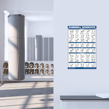 Palace Learning Dumbbell & Barbell Workout Charts - Set of 4 Laminated Muscle Guides (18" x 24")