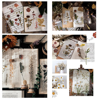 Maxleaf Botanic Series Sticker, 80PCS Large Dried Flowers Waterproof Transparent Stickers, PET Nature Plant Floral Stickers for Journaling Scrapbooking, Clear Flower Decals