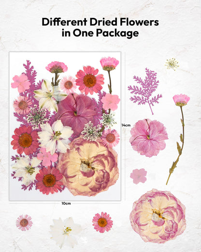 Dried Flowers, Resiners 100Pcs Pressed Flowers for Craft Baby Pink Real Natural Dried Flowers Dry Leaves Kit for DIY Making Crafts Resin Soap Candle Scrapbook Supplies Card Making Jewelry