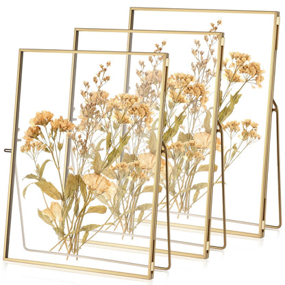 Vicenpal 3 Pack Glass Pressed Flower Frame Handmade, 6 x 8 Floating Picture Frames for Pressed Flowers, Brass Double Glass for Tabletop Display, Home Office Plant Specimen, Photos(Gold)
