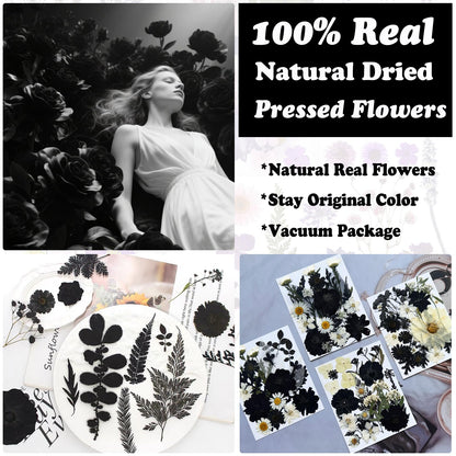 LUCISKY 90Pcs Black Pressed Dried Flowers for Resin Molds, Real Natural Bulk Dry Floral Leave for DIY Art Crafts, Epoxy Jewelry, Candle, Soap Making, Nails Decors