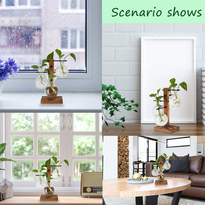 4 Bulb PAG Planter Terrariums Kit Desktop Hydroponics Air Plant Holder with Beaker Glass Vase and Solid Wood Stand