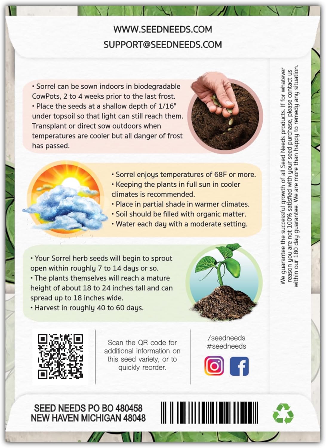 (1 Pack) Seed Needs Large Leaf Sorrel Seeds for Planting - Heirloom Non-GMO & Untreated Medicinal or Culinary Herb
