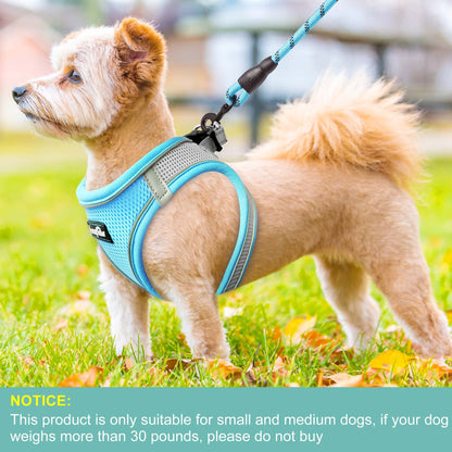 haapaw Dog Harness with Leash Set, No Pull Adjustable Reflective Step-in Puppy Harness with Thickened Padded Vest for Extra-Small/Small Medium Dogs