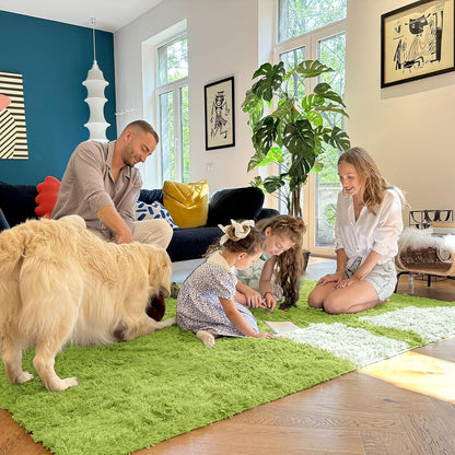 OLANLY Large Area Rug - Soft Fluffy Shaggy Carpet for Living Room & Bedroom | 5x8, Grass Green