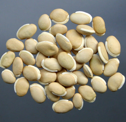 home on earth 100 Green Leaf Hyacinth Bean - Seeds