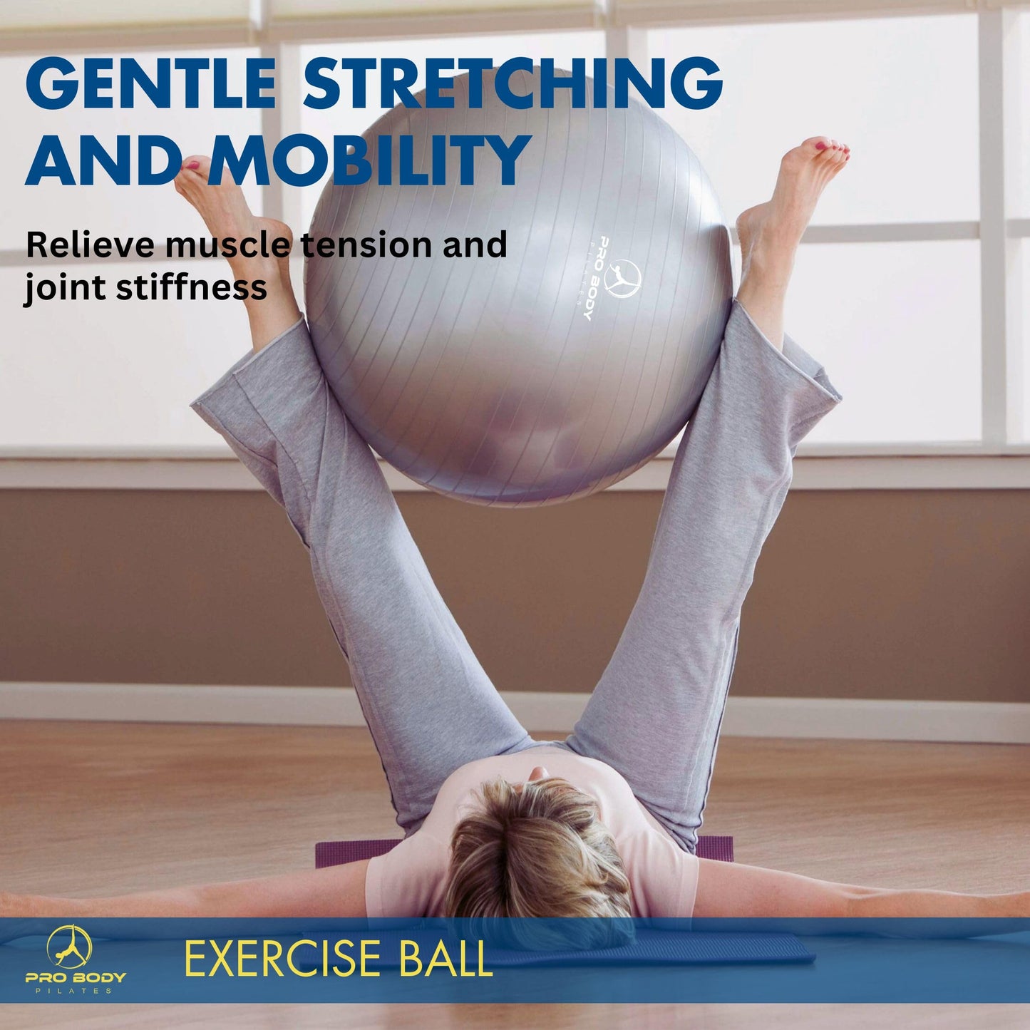 ProBody Pilates Exercise Ball - Multiple Sizes Gym Grade Balance Ball for Fitness, Yoga, Workout, Pregnancy & Physical Therapy