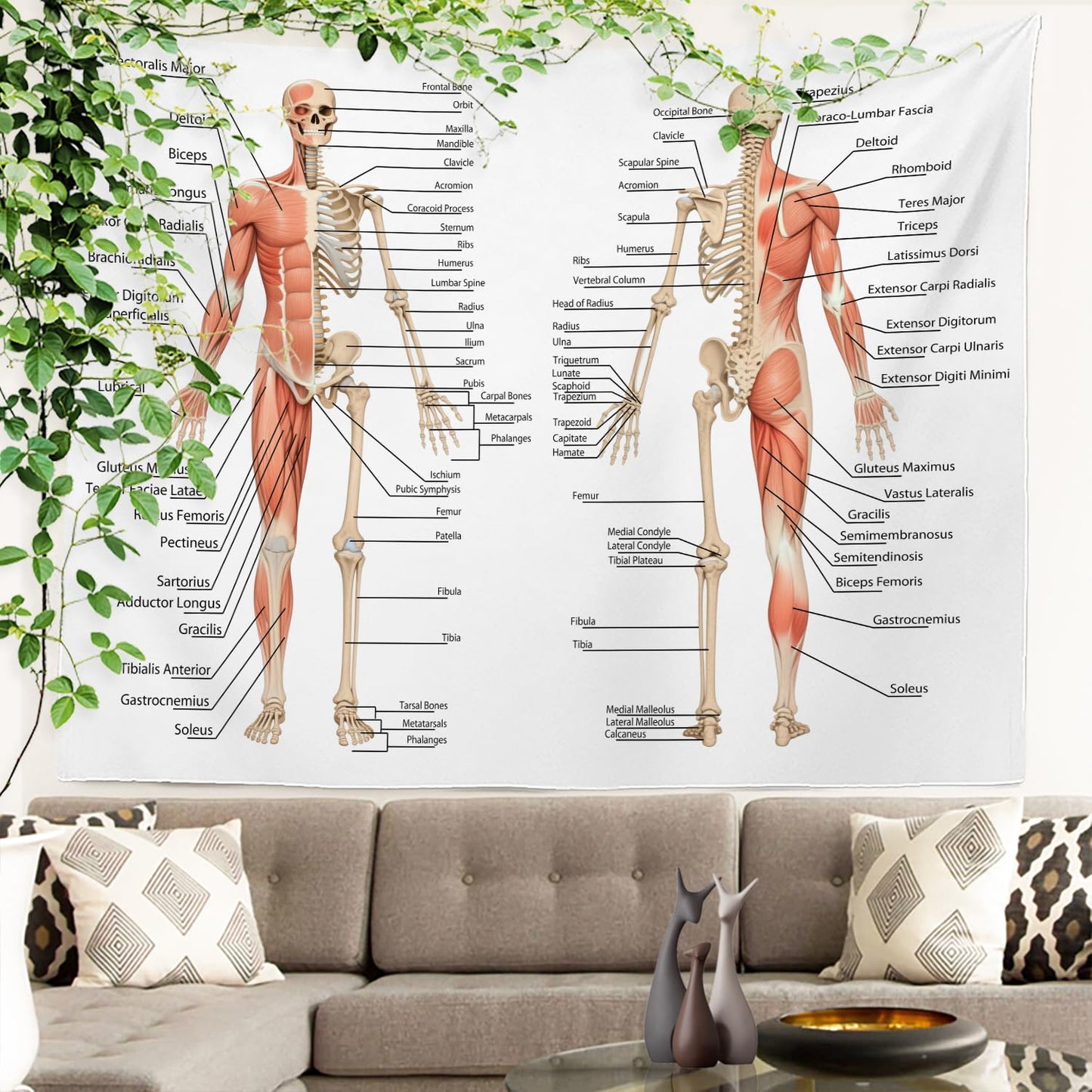 Batmerry Skeleton Tapestry, Body Human Skeleton Anatomy Backbone Biology Board Bone Picnic Mat Hippie Trippy Tapestry Wall Art Decor for Bedroom Living Room, 51.2 x 59.1 Inches, Human Anatomy