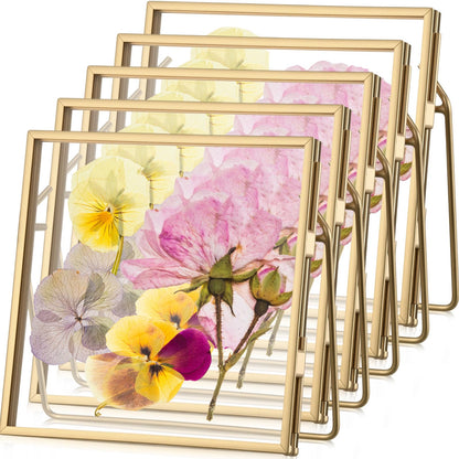 Vicenpal 5 Pack Glass Pressed Flower Frame Handmade, 4 x 4 floating Picture Frames for Pressed Flowers, Brass Double Glass for Tabletop Display, Home Office Plant Specimen, Photos(Gold)