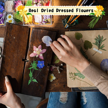 Nuanchu 167 Pcs Real Dried Pressed Flowers Natural Dried Flowers Colorful Daisy Mixed Wildflowers Leave for DIY Candle Resin Nails Jewelry Pendant Crafts Floral Art(Multicolor,Lovely Style)