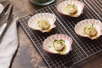 Natural Baking Sea Shells, 5-Inch, Set of 4