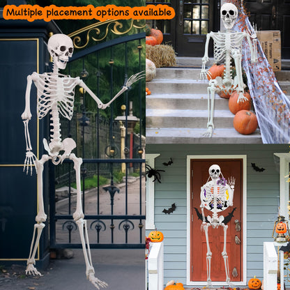 5.4 ft Halloween Skeleton Poseable Skeleton Life Size Skeleton Full Body Plastic Human Bones Standing Human Skeleton with Posable Joints for Halloween Decoration（1PCS