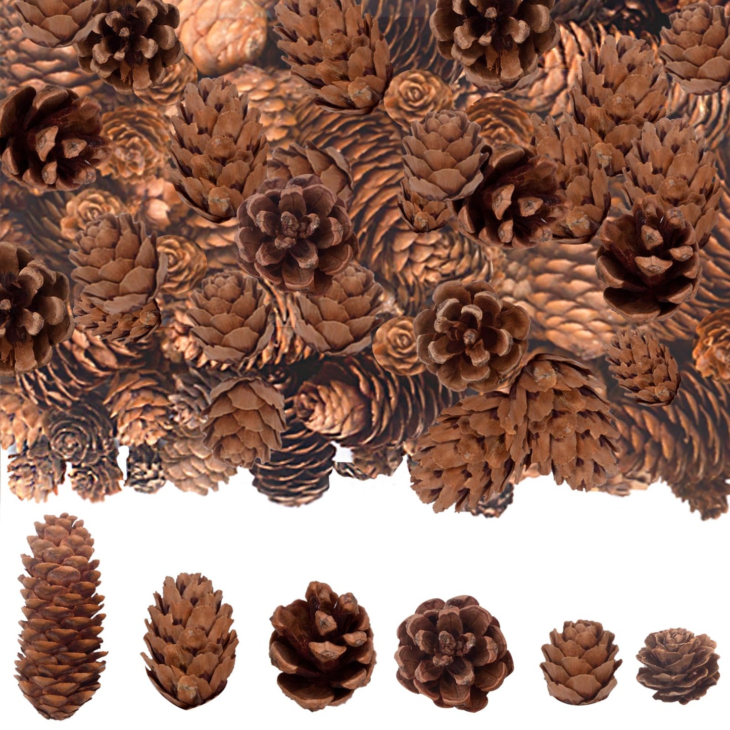 120PCS Natural Pine Cones for Decorating, 1" ~ 3.15" Inch Tall Mini Pinecones for Crafts, Tree Ornaments, Wreath, Wedding, Vase Fillers, Garland & Holiday Centerpieces (Fall/Winter/Xmas) Decor