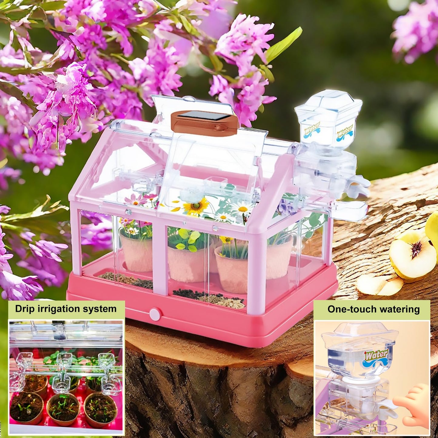 EXBEPE Kids Plant Growing Kit Greenhouse Growing Set Terrarium Kit Kids Science Educational DIY Plant Gardening Toy, Living Greenhouse with Solar Panel, Indoor Gardening Kit