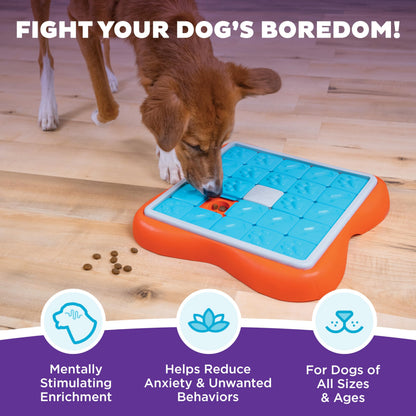 Nina Ottosson by Outward Hound Challenge Slider Interactive Treat Puzzle Dog Toy, Advanced