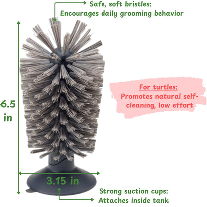 Turtle Shell Cleaning Suction Brush Tank, Turtle Scratcher for Tank Shell Cleaner with Suction Cup and Handheld Back Scratcher Remove Mud Dirt, Tortoise Habitat Accessories (Gray)