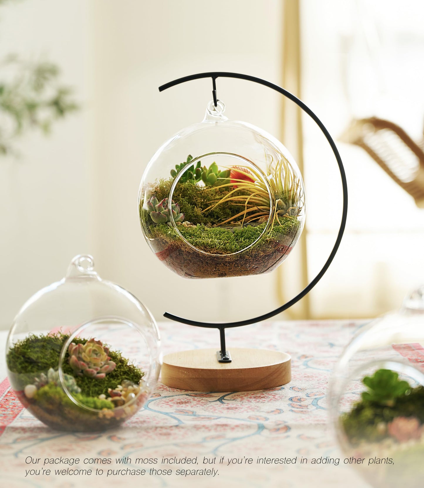 LUCKYRUNES DIY Terrarium Kit with Live Moss, 15-Piece Glass Globe Set with Wooden Stand, Tools, Soil, Stones & Spray Bottle, Indoor Mini Garden Gift for Plant Lovers, Home Desk Decor